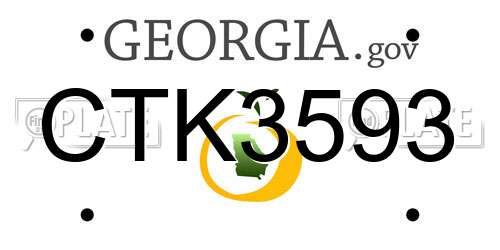 CTK3593 Georgia License Plate