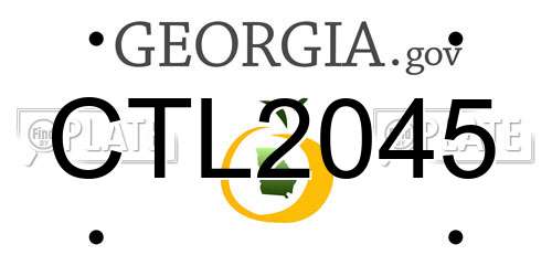 CTL2045 Georgia License Plate
