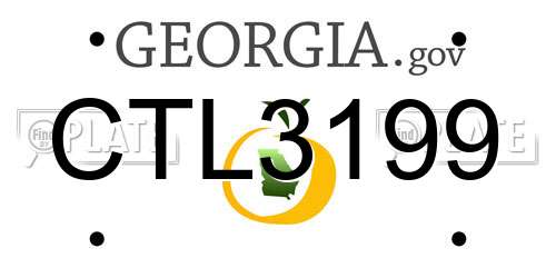 CTL3199 Georgia License Plate
