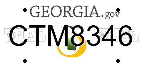 CTM8346 Georgia License Plate