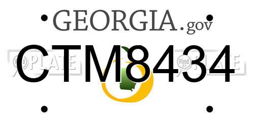 CTM8434 Georgia License Plate