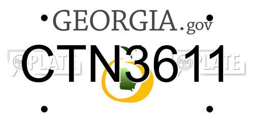 CTN3611 Georgia License Plate