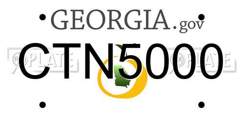 CTN5000 Georgia License Plate
