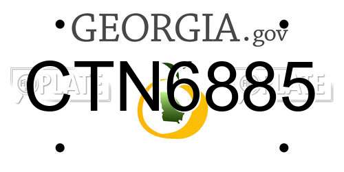 CTN6885 Georgia License Plate