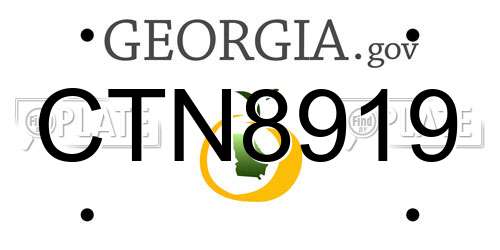 CTN8919 Georgia License Plate