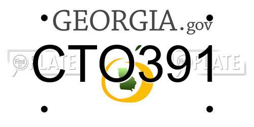 CTO391 Georgia License Plate
