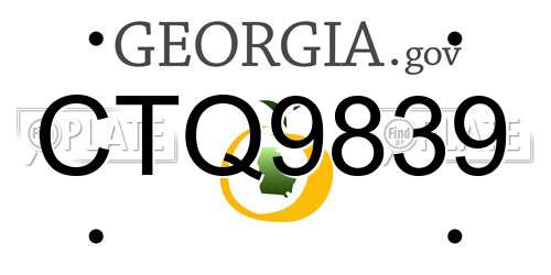 CTQ9839 Georgia License Plate