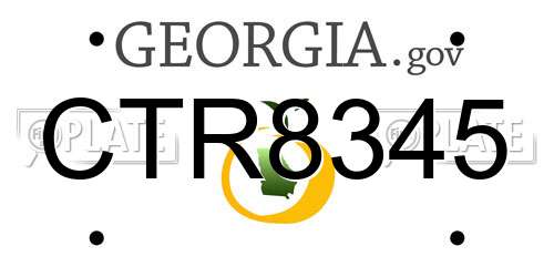 CTR8345 Georgia License Plate