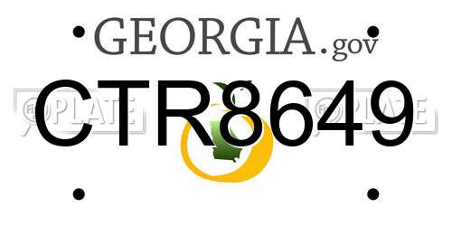 CTR8649 Georgia License Plate