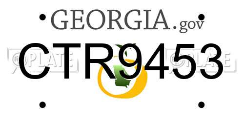 CTR9453 Georgia License Plate