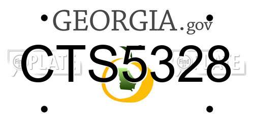 CTS5328 Georgia License Plate