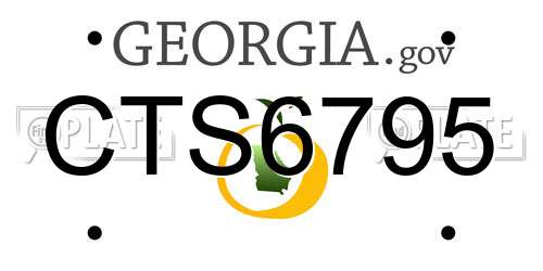 CTS6795 Georgia License Plate