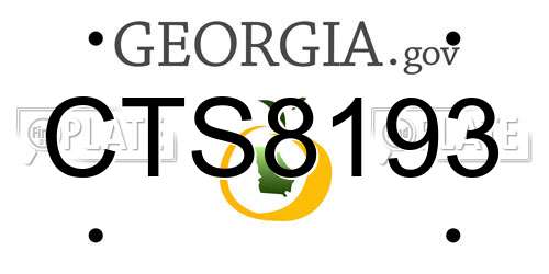 CTS8193 Georgia License Plate