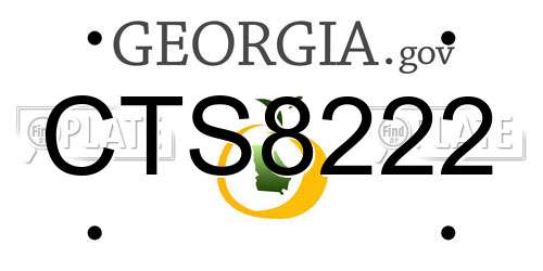 CTS8222 Georgia License Plate