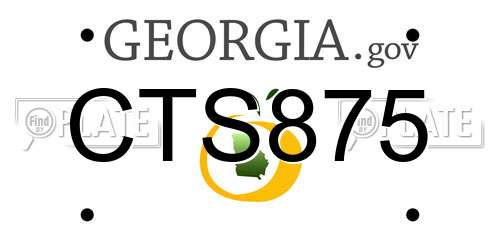 CTS875 Georgia License Plate