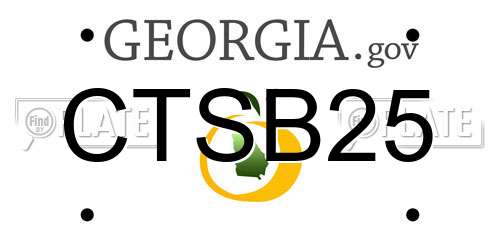 CTSB25 Georgia License Plate