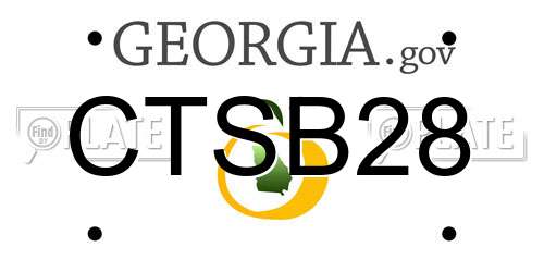 CTSB28 Georgia License Plate
