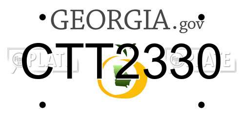 CTT2330 Georgia License Plate