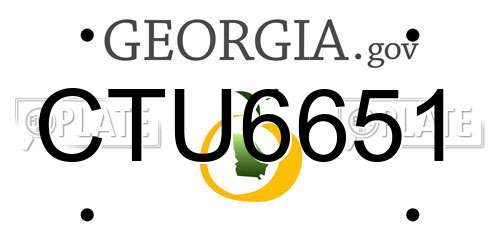 CTU6651 Georgia License Plate