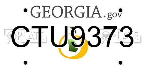 CTU9373 Georgia License Plate