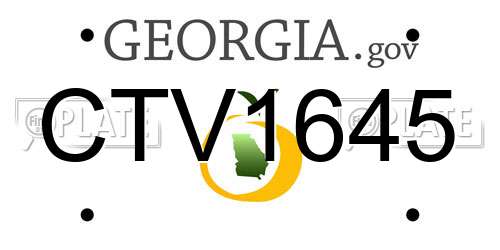 CTV1645 Georgia License Plate
