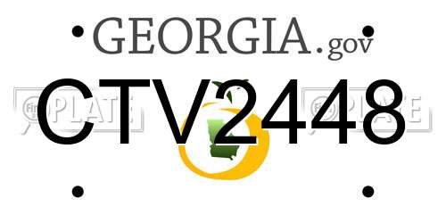 CTV2448 Georgia License Plate