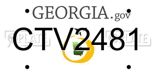 CTV2481 Georgia License Plate