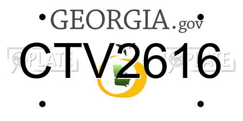 CTV2616 Georgia License Plate