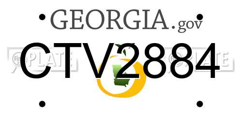 CTV2884 Georgia License Plate