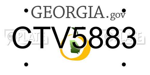 CTV5883 Georgia License Plate