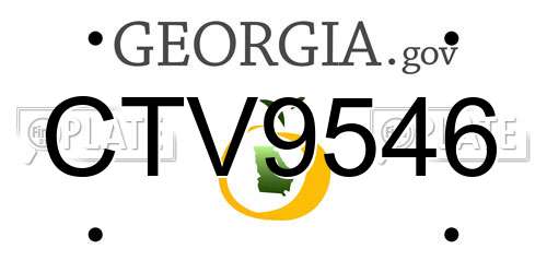 CTV9546 Georgia License Plate