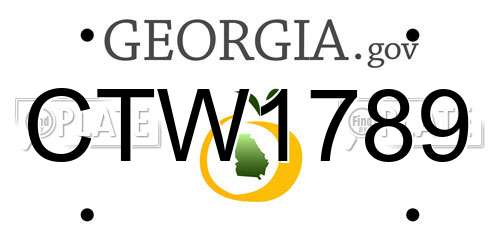 CTW1789 Georgia License Plate
