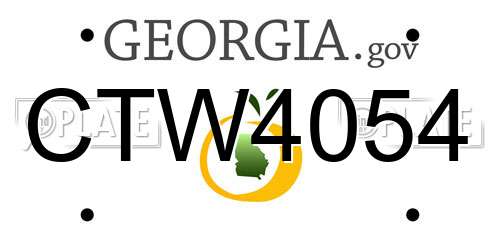 CTW4054 Georgia License Plate