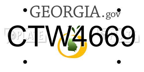 CTW4669 Georgia License Plate
