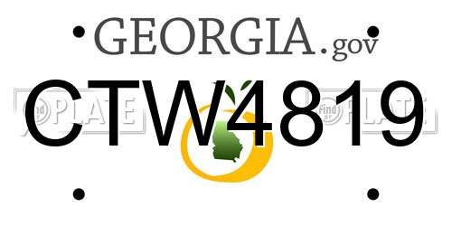 CTW4819 Georgia License Plate