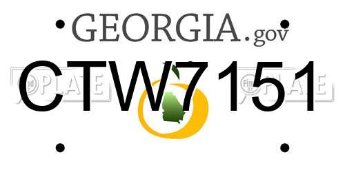 CTW7151 Georgia License Plate