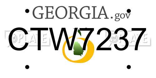 CTW7237 Georgia License Plate