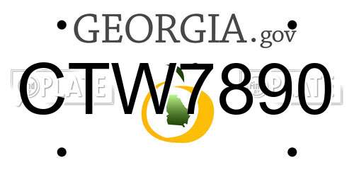 CTW7890 Georgia License Plate