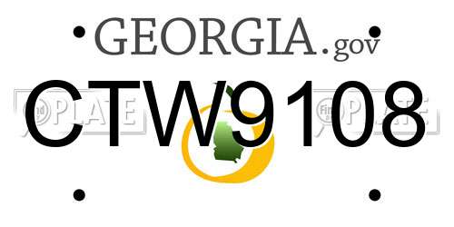 CTW9108 Georgia License Plate