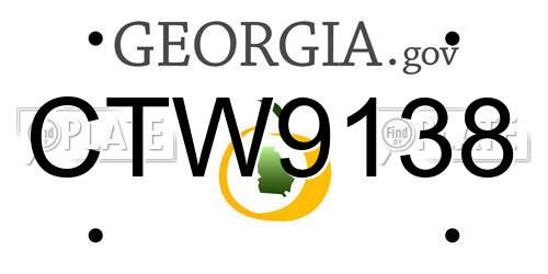 CTW9138 Georgia License Plate