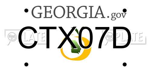 CTX07D Georgia License Plate