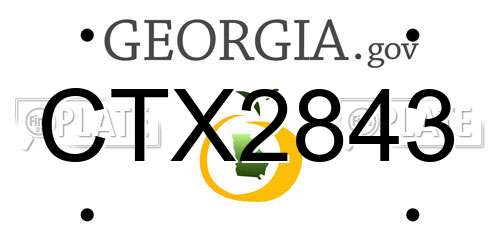 CTX2843 Georgia License Plate
