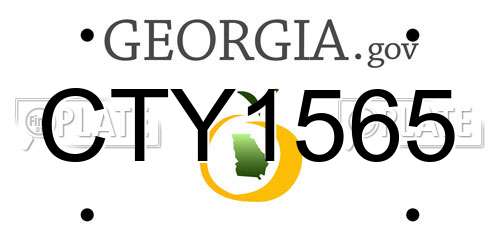 CTY1565 Georgia License Plate