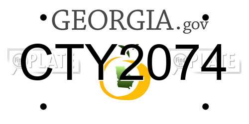 CTY2074 Georgia License Plate
