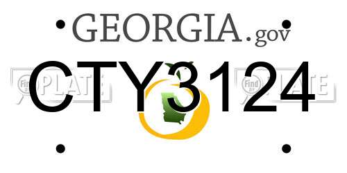 CTY3124 Georgia License Plate