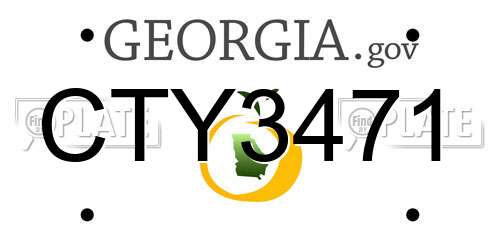 CTY3471 Georgia License Plate