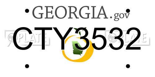 CTY3532 Georgia License Plate
