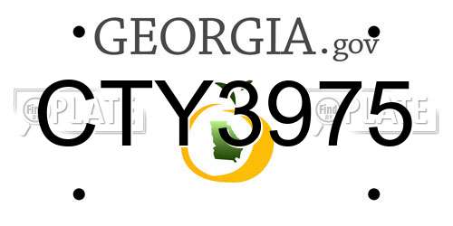 CTY3975 Georgia License Plate