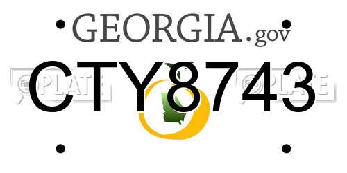 CTY8743 Georgia License Plate