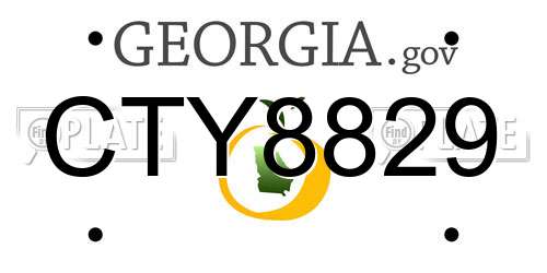 CTY8829 Georgia License Plate